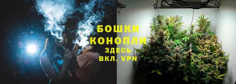 Шишки марихуана THC 21%  Рубцовск 